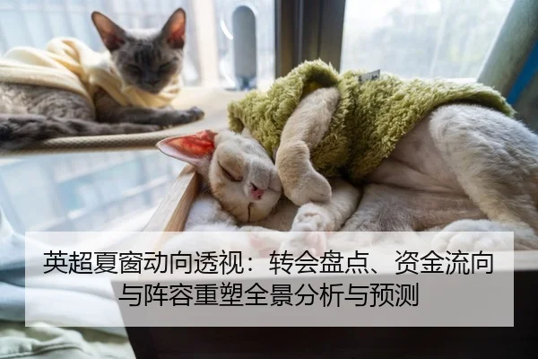 英超夏窗动向透视：转会盘点、资金流向与阵容重塑全景分析与预测